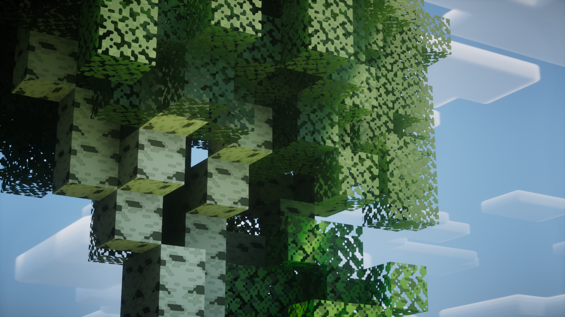 Leaves texture before the update